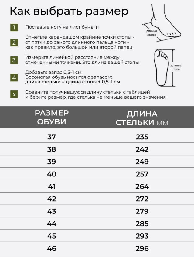 256369.jpg